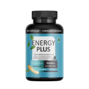 Energy Plus