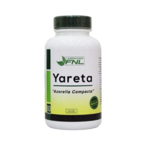 Yareta